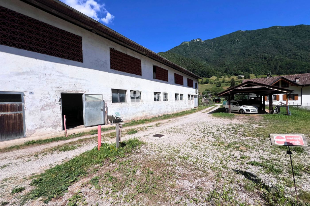 Terreno - Image 13