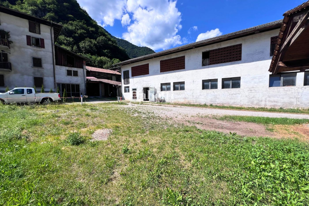 Terreno - Image 16