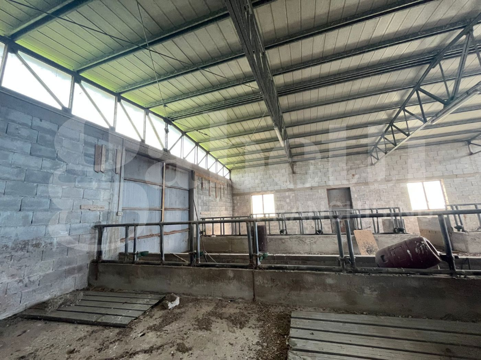 Casa Indipendente - Image 31