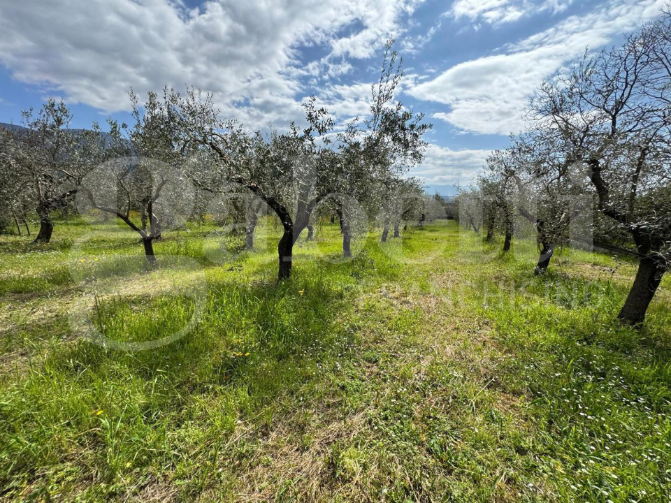 Casa Indipendente - Image 5