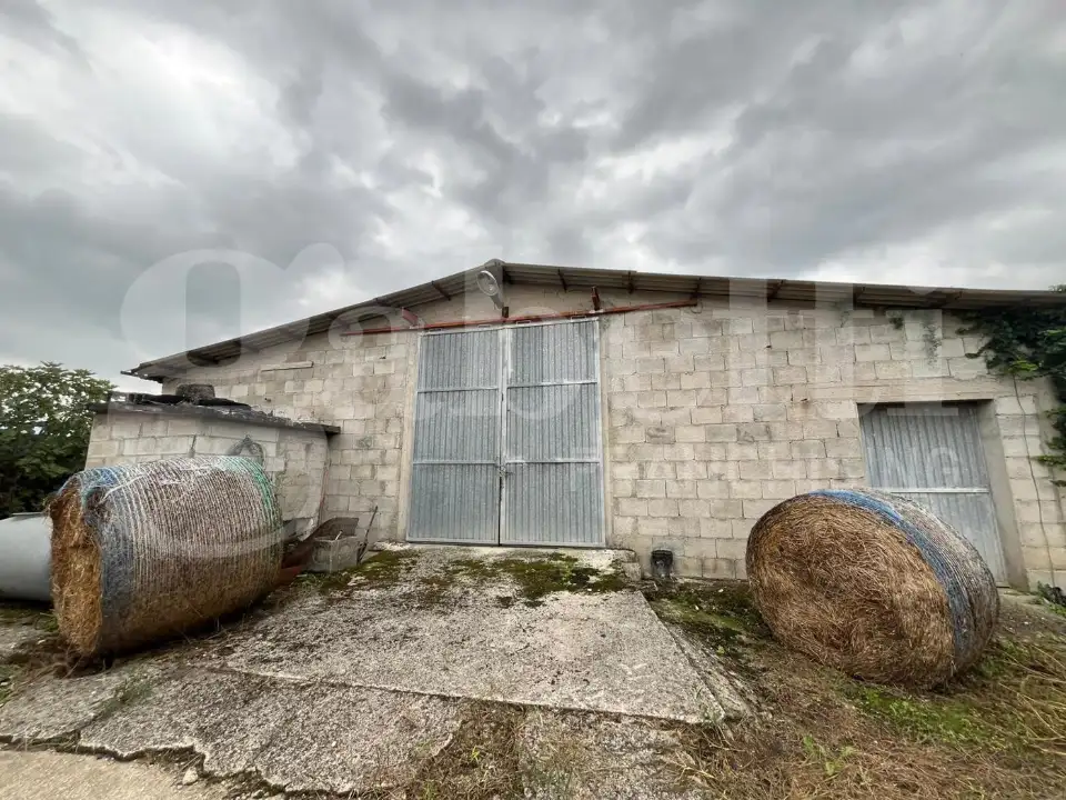 Casa Indipendente - Image 15