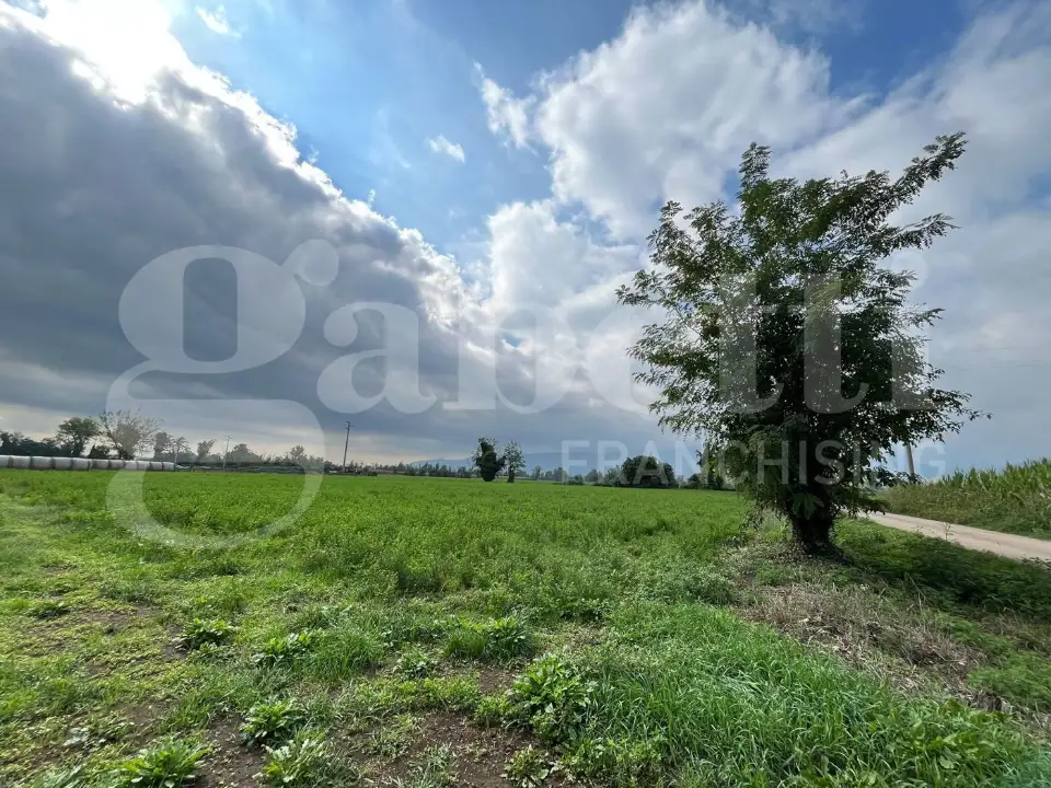 Casa Indipendente - Image 16