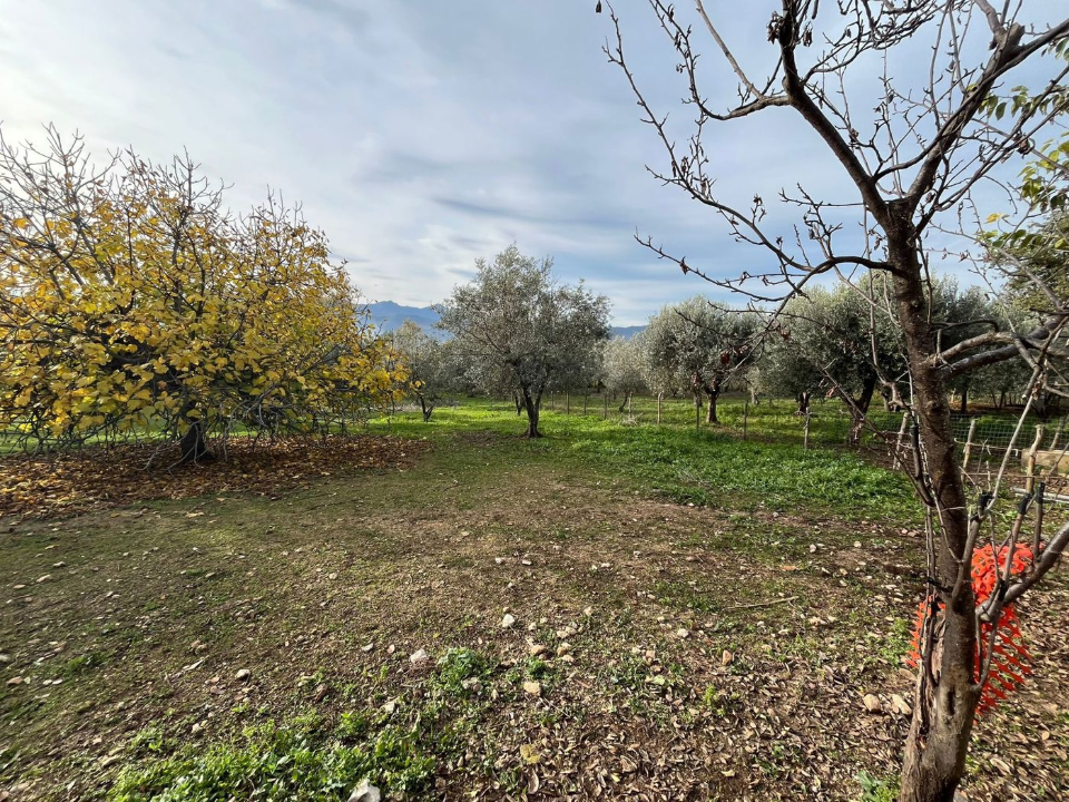 Casa Indipendente - Image 7