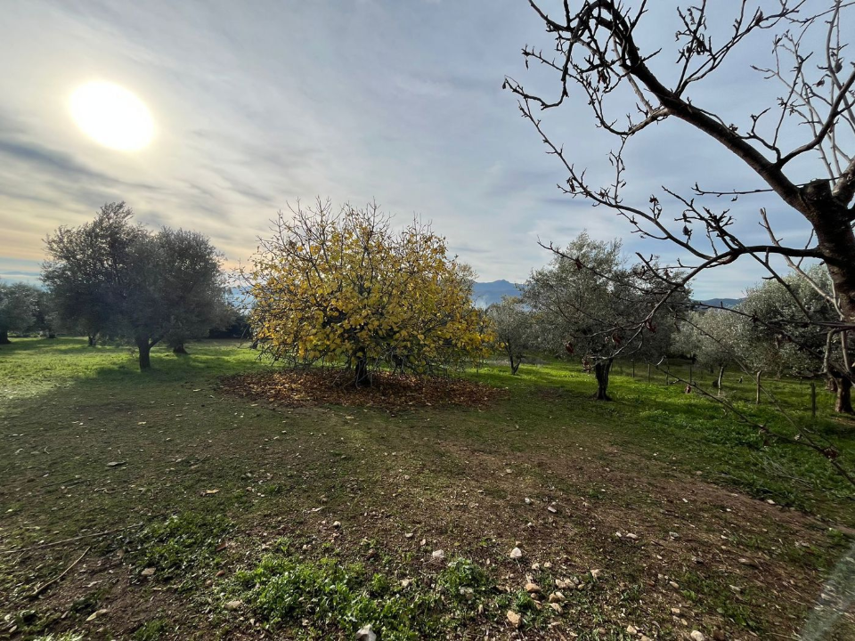 Casa Indipendente - Image 6