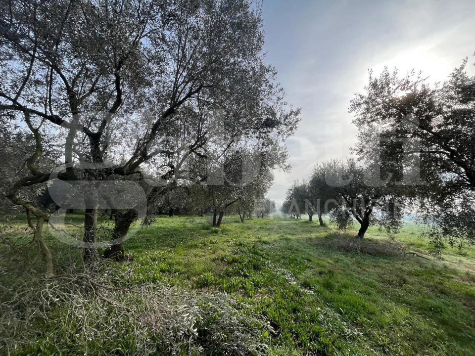 Casa Indipendente - Image 5