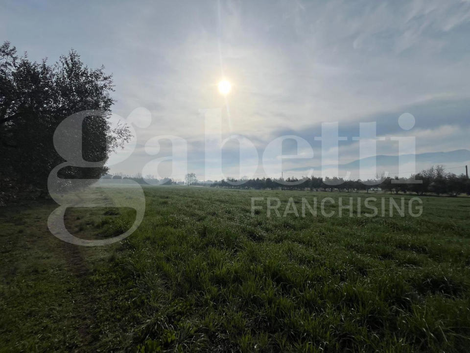 Casa Indipendente - Image 4