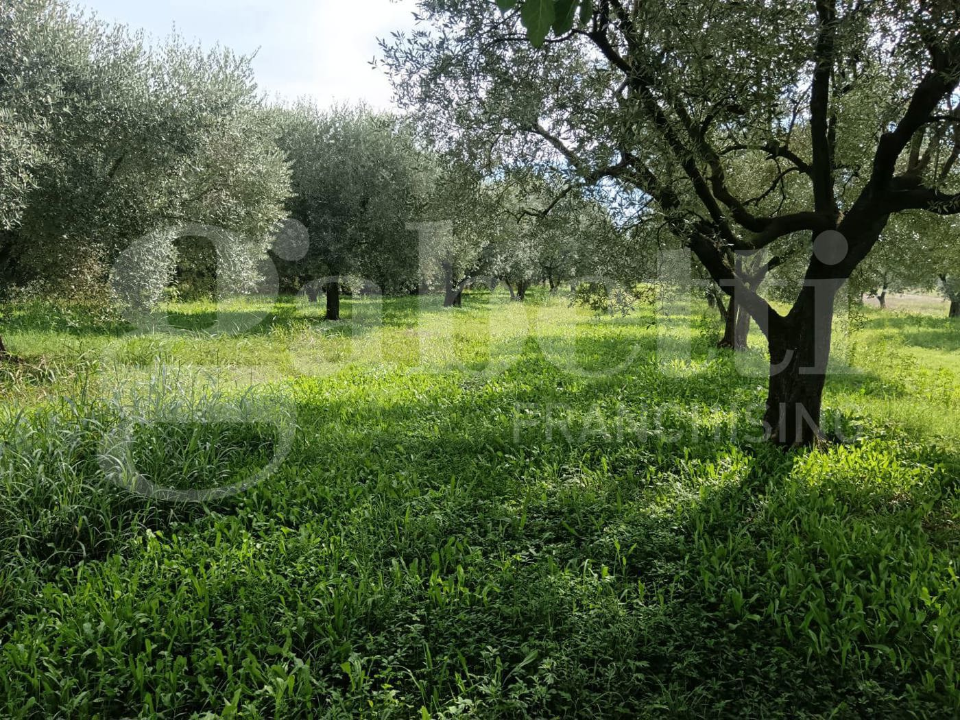 Casa Indipendente - Image 7