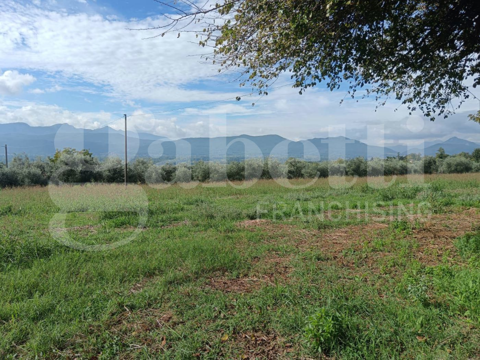 Casa Indipendente - Image 6