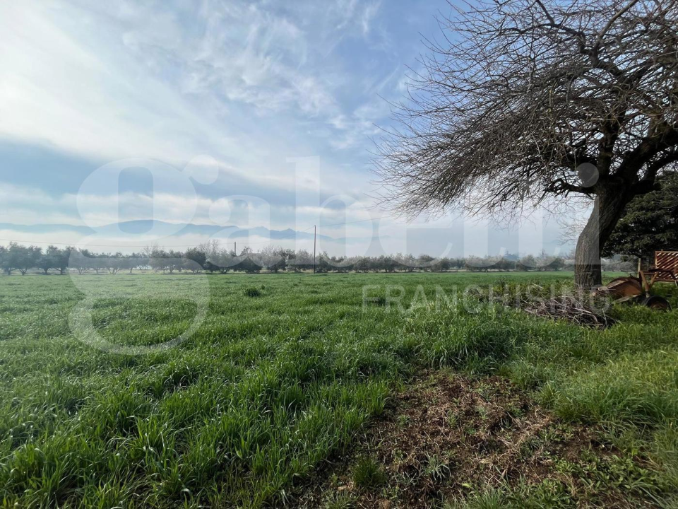 Casa Indipendente - Image 3