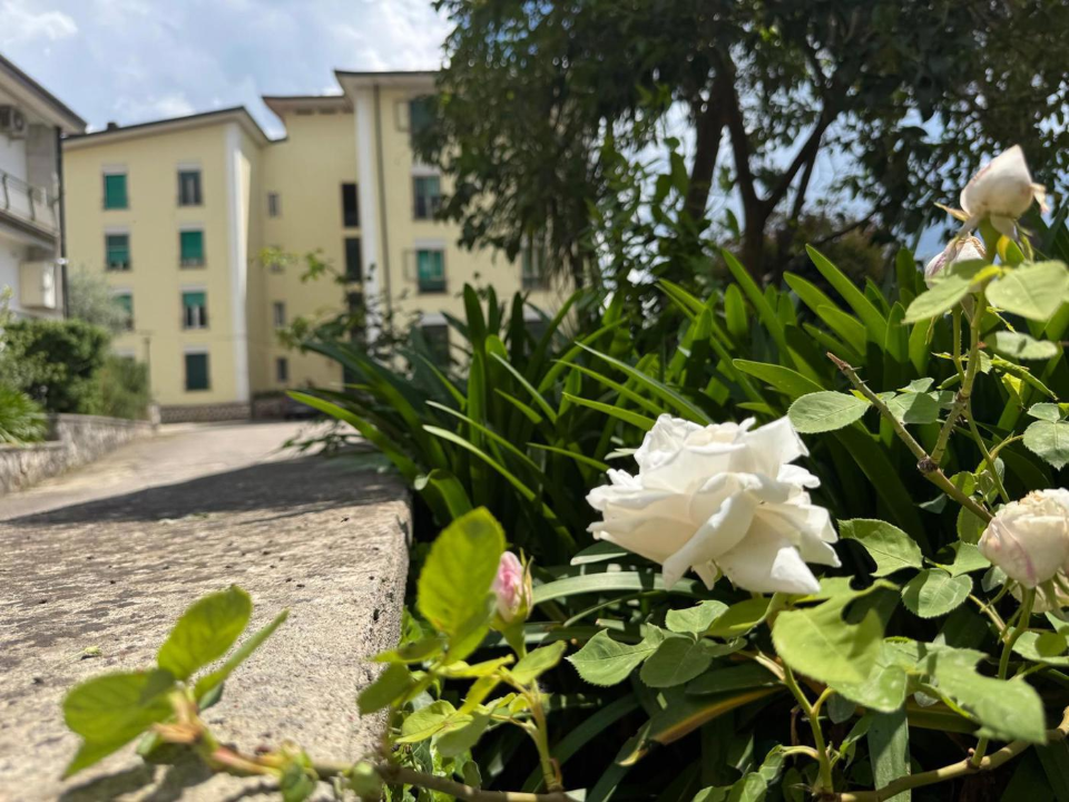 Appartamento - Image 1