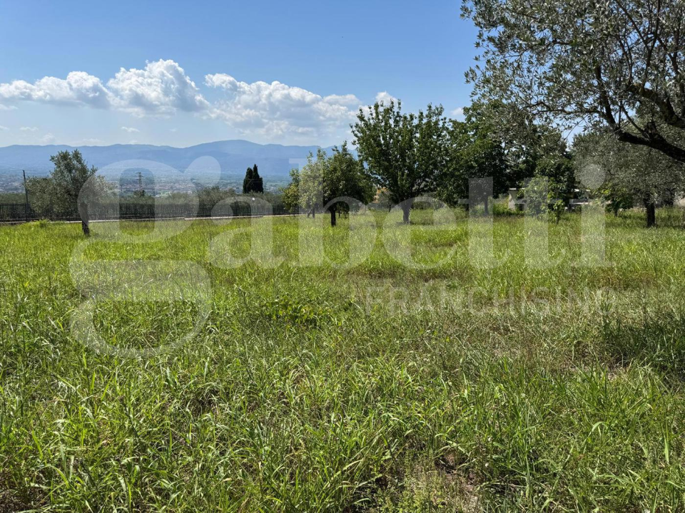 Casa Indipendente - Image 10
