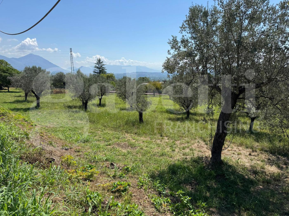 Casa Indipendente - Image 11