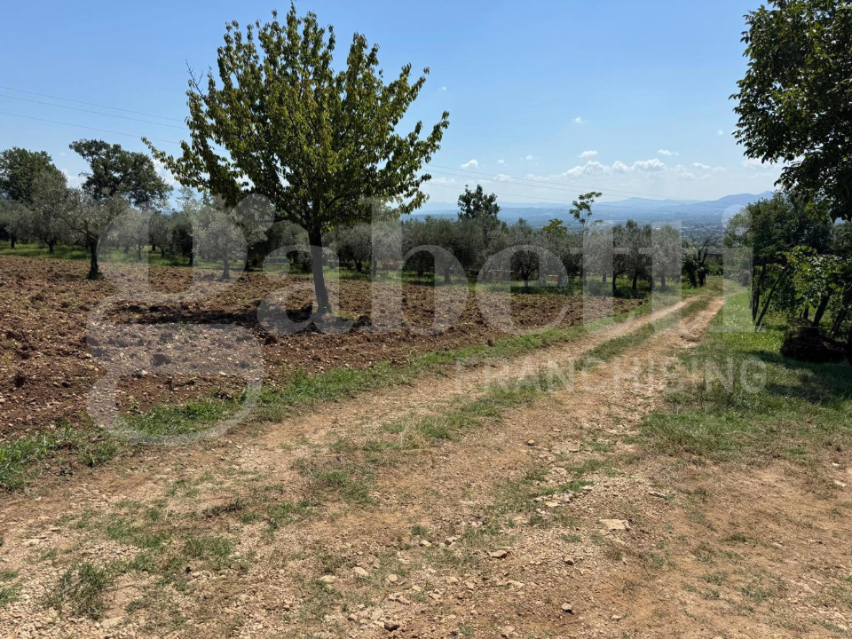 Casa Indipendente - Image 7