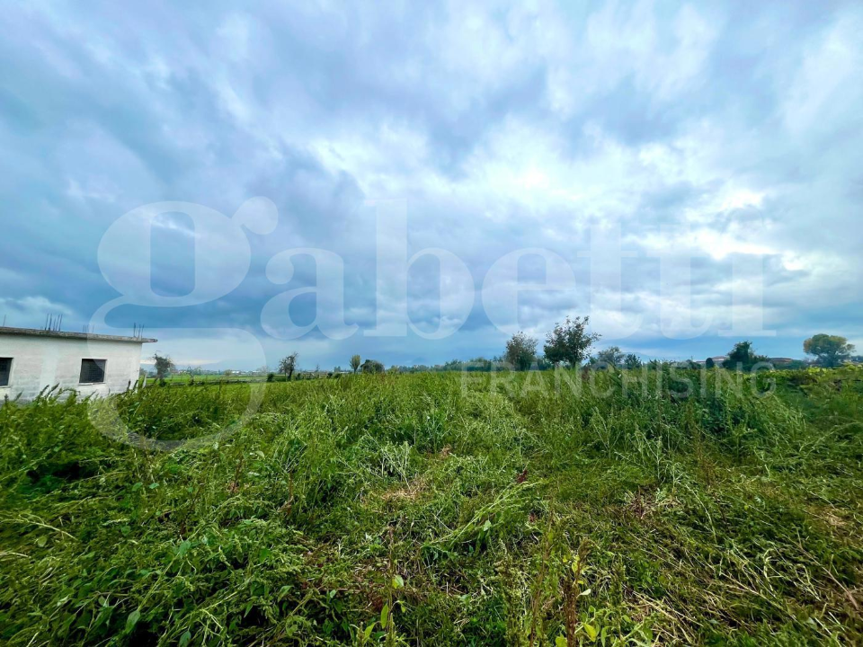 Casa Indipendente - Image 6