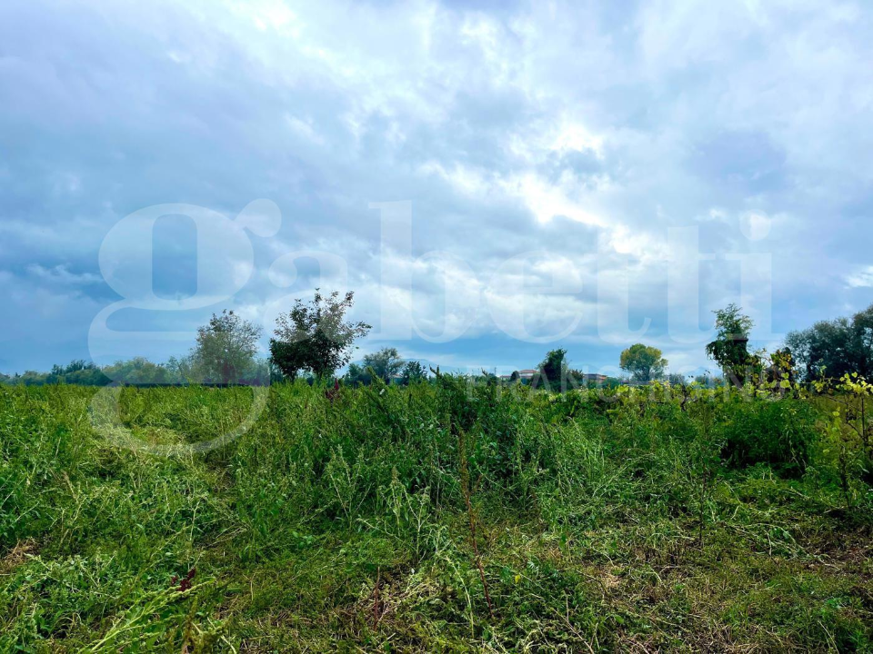 Casa Indipendente - Image 7