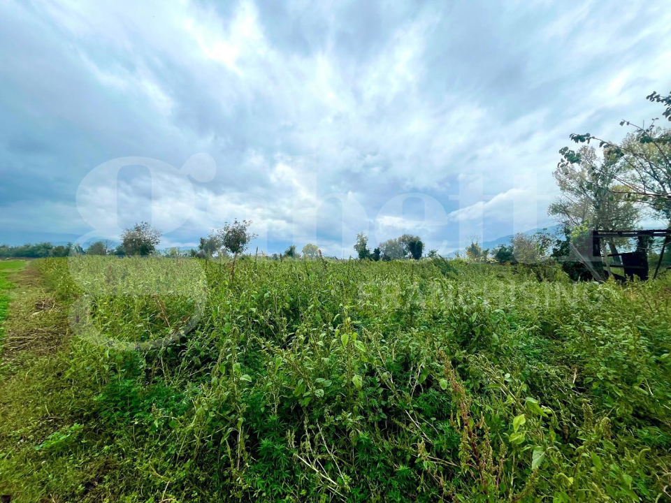 Casa Indipendente - Image 9