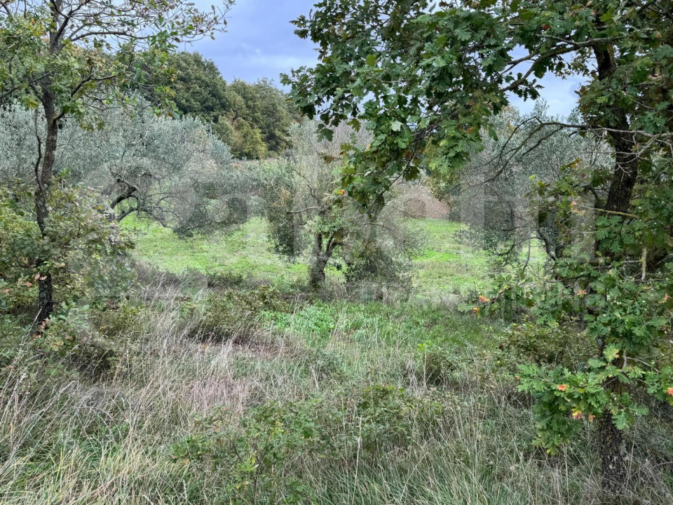 Casa Indipendente - Image 19