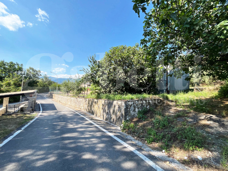 Capannone - Image 8
