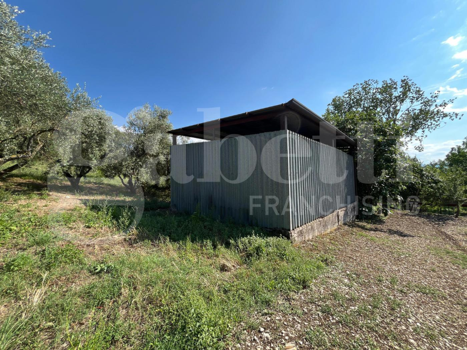 Capannone - Image 1