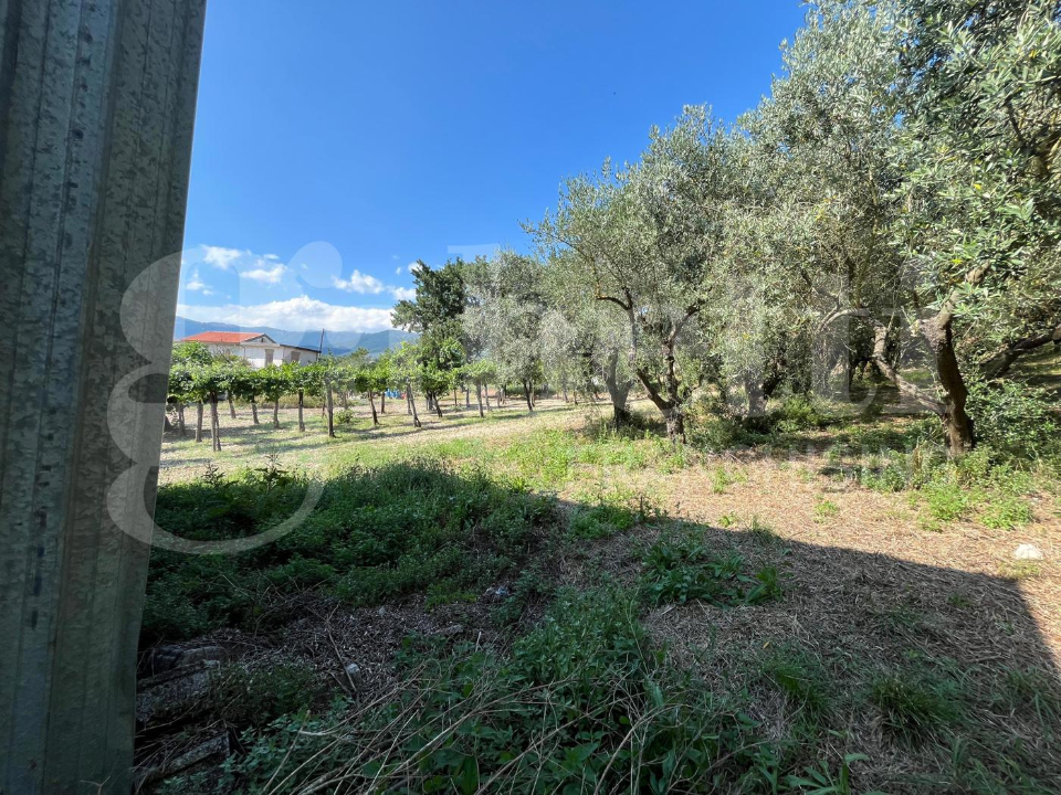 Capannone - Image 5