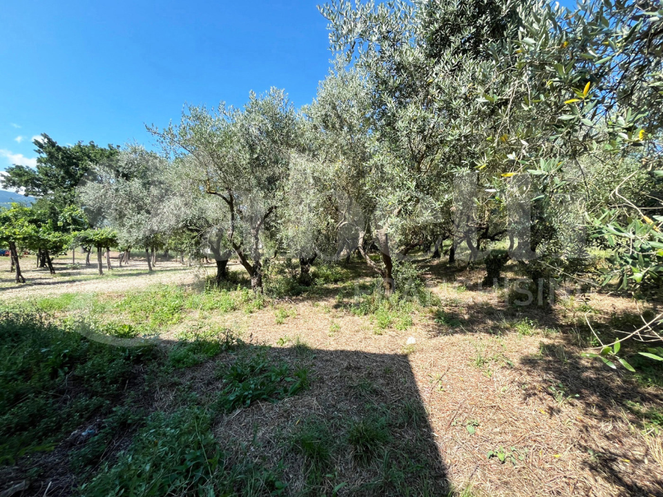 Capannone - Image 6