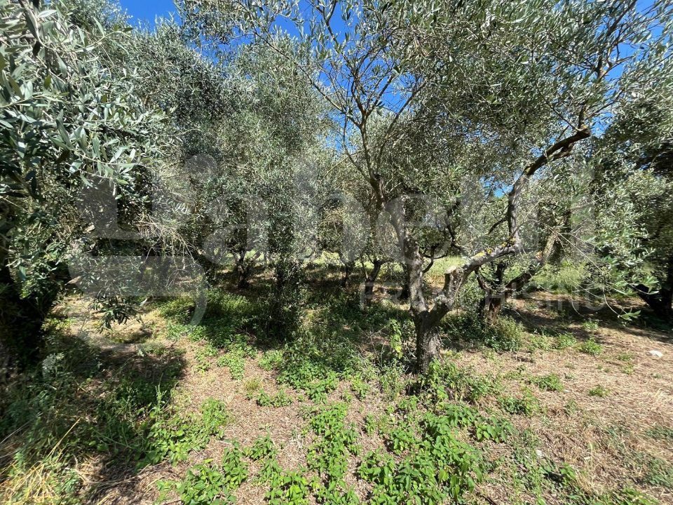 Capannone - Image 7