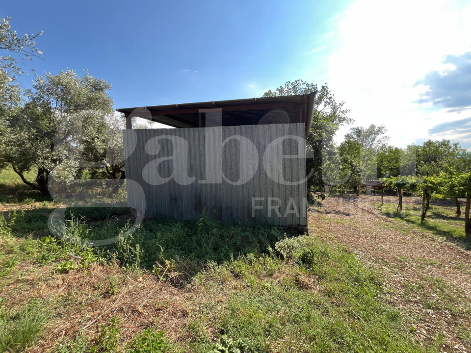 Capannone - Image 2