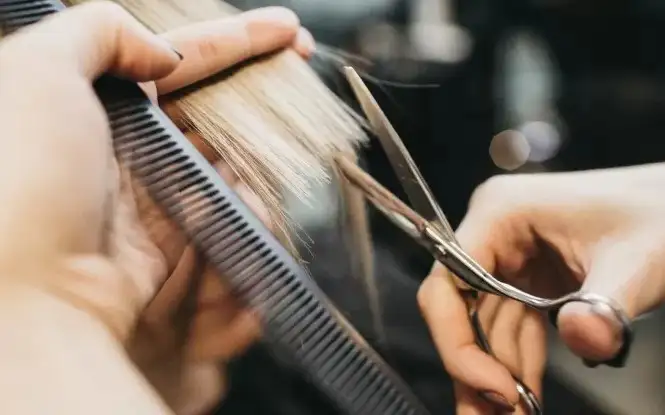 Attività - Image 10