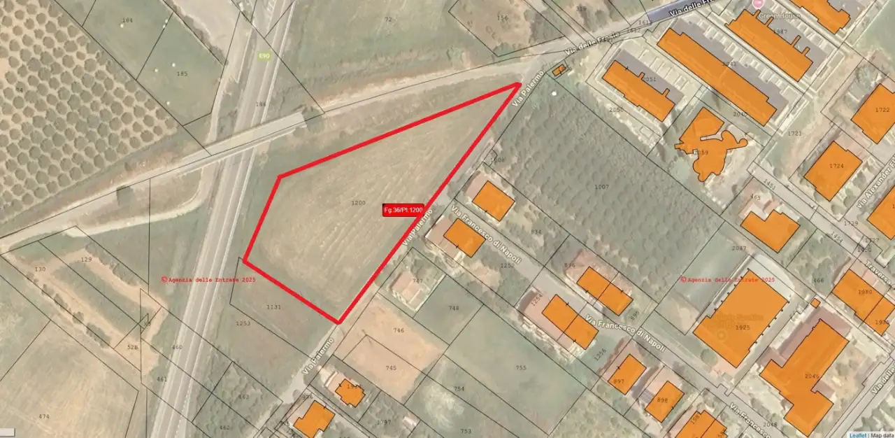 Terreno - Planimetry 2