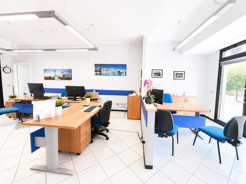 Negozio - Image 7