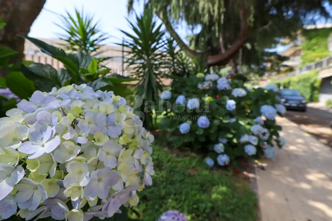 Appartamento - Image 37