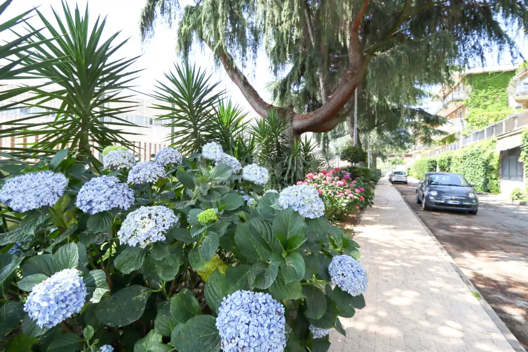 Appartamento - Image 36