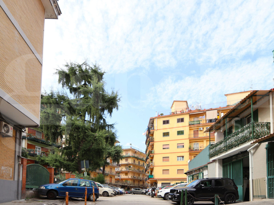 Magazzino - Image 10