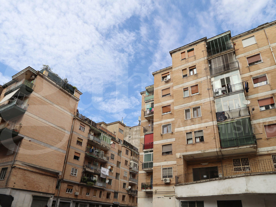 Magazzino - Image 12