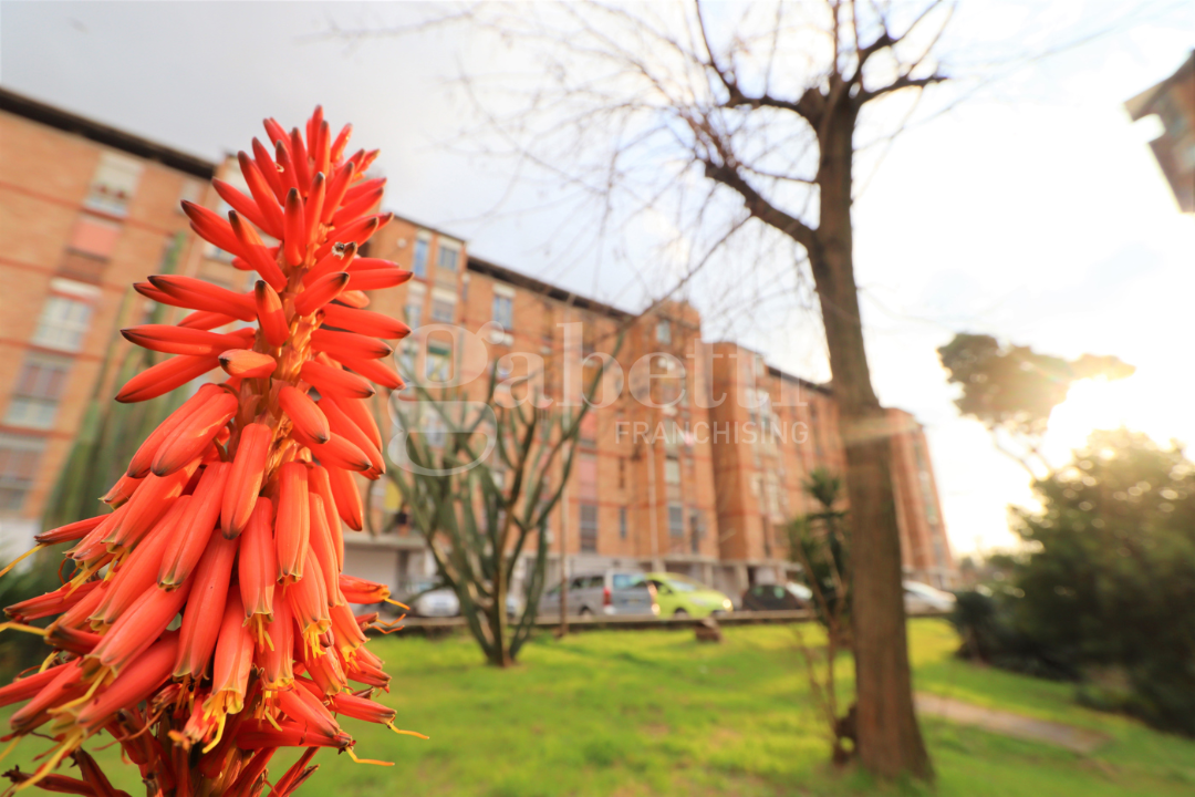 Appartamento - Image 2