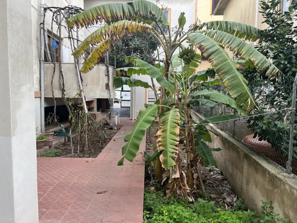 Appartamento - Image 16