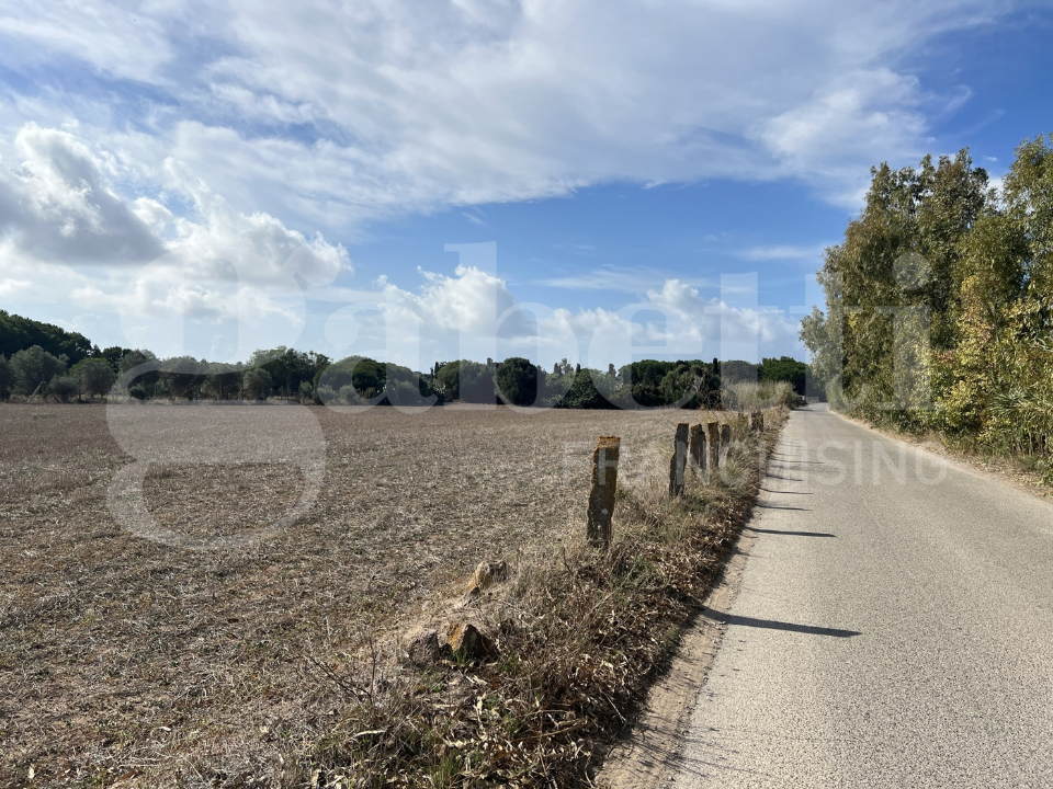 Casa Indipendente - Image 8