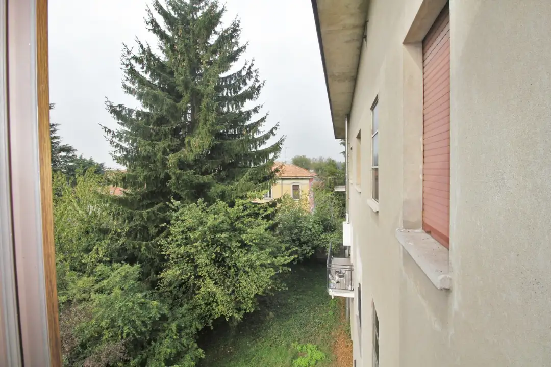 Complesso - Image 28