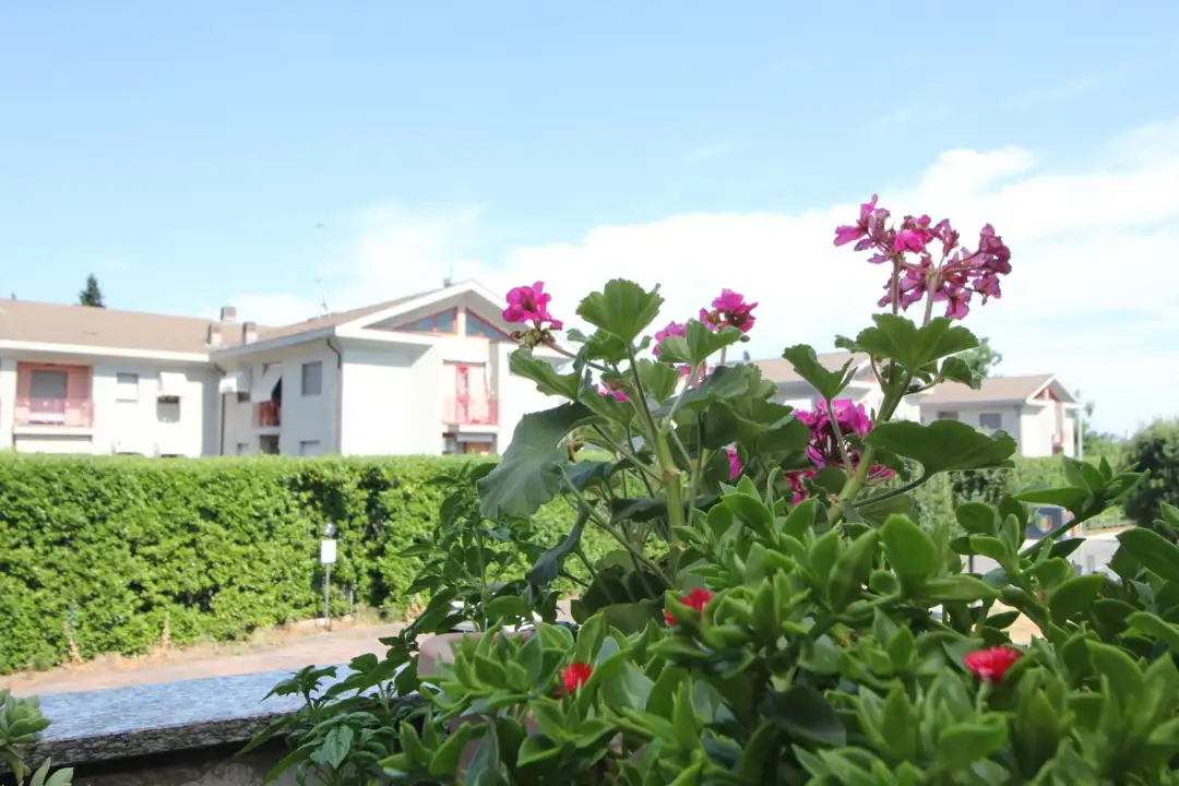 Appartamento - Image 24