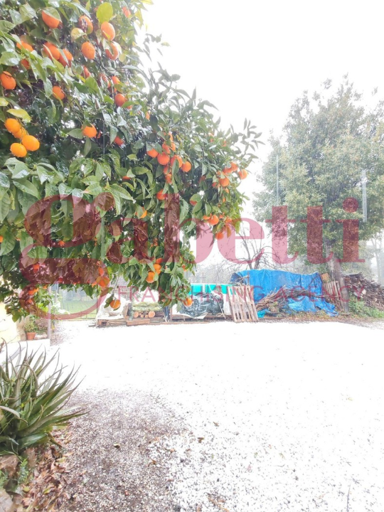 Appartamento - Image 13