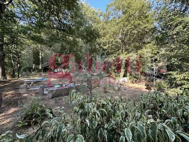 Casa Indipendente - Image 17