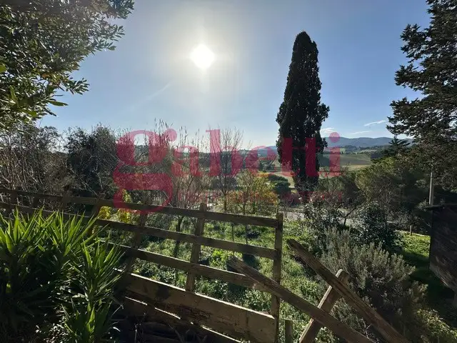 Appartamento - Image 5