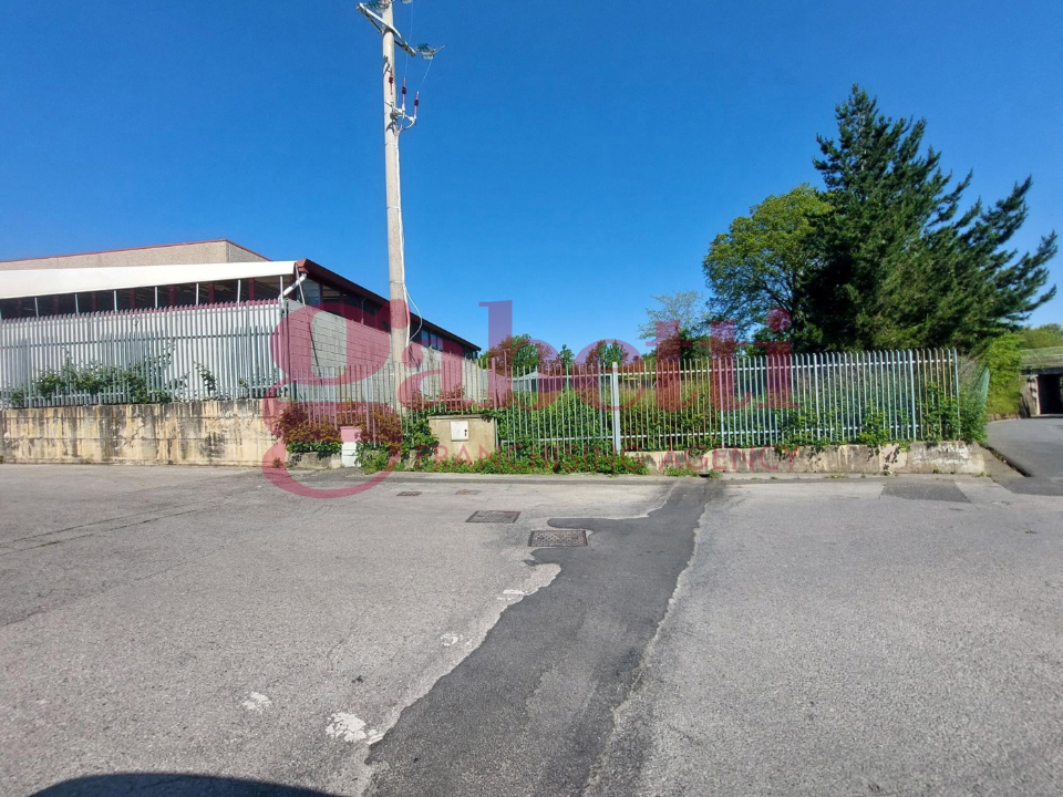 Capannone - Image 20