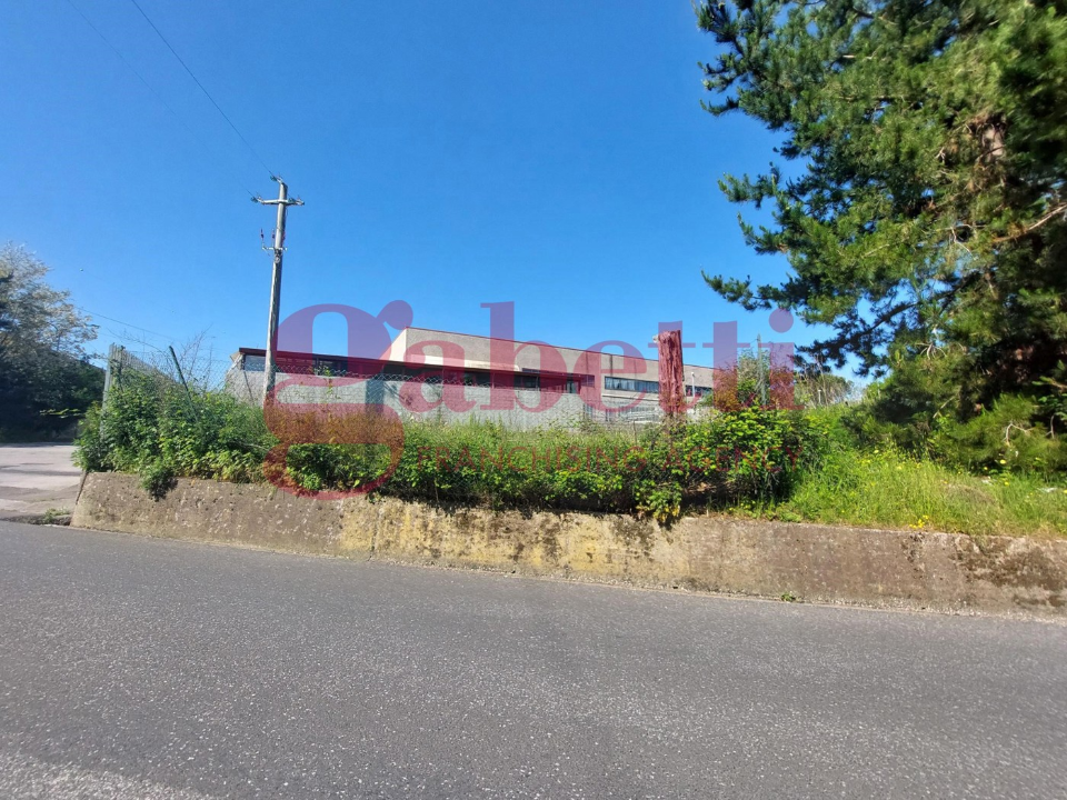 Capannone - Image 26