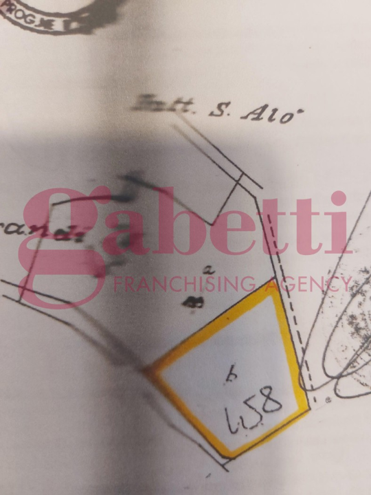 Terreno - Planimetry 1