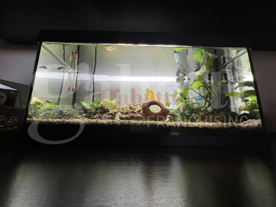 Appartamento - Image 7