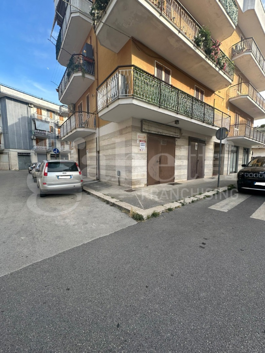 Altro - Image 2