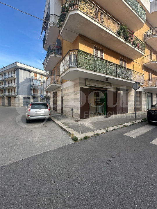 Altro - Image 3