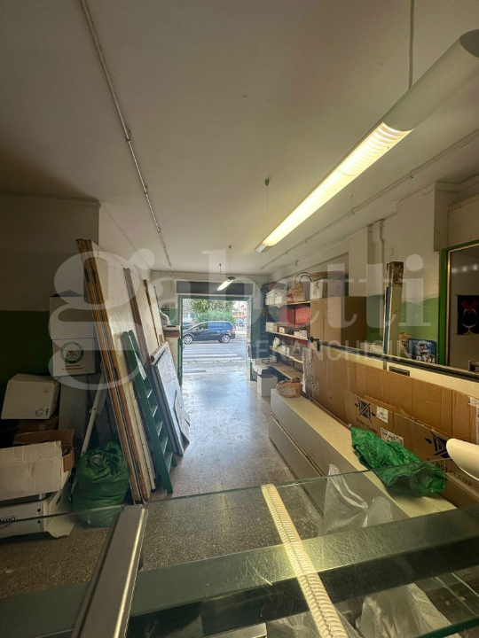 Altro - Image 6
