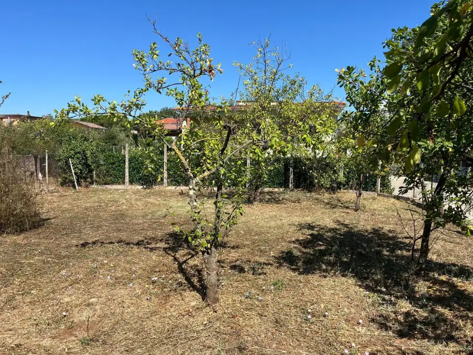 Casa Indipendente - Image 7